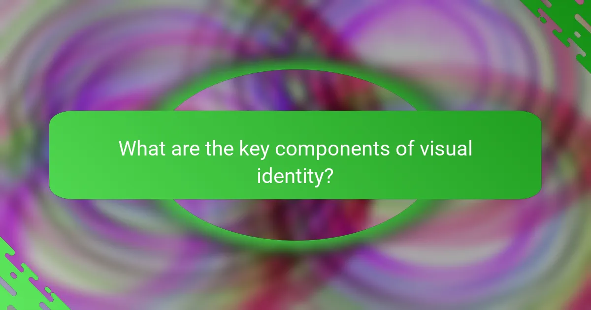 What are the key components of visual identity?