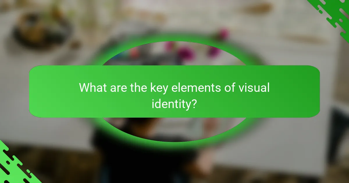 What are the key elements of visual identity?